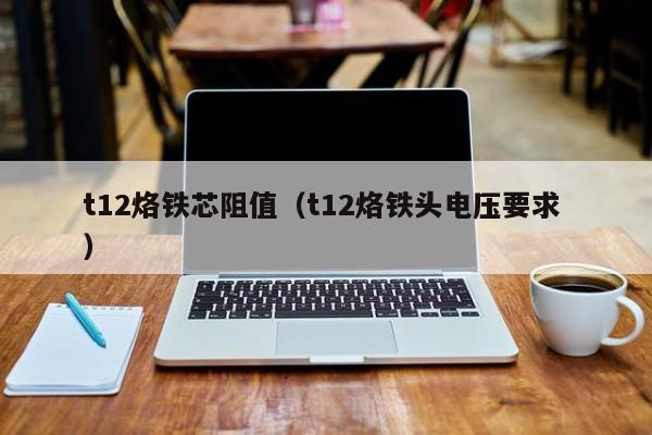t12烙铁芯阻值（t12烙铁头电压要求 ）