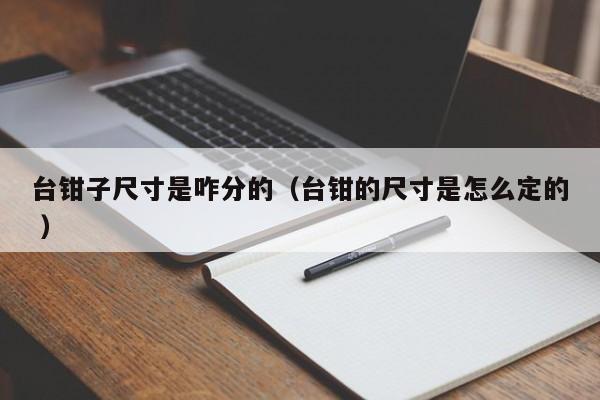 台钳子尺寸是咋分的（台钳的尺寸是怎么定的 ）
