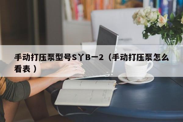 手动打压泵型号S丫B一2（手动打压泵怎么看表 ）