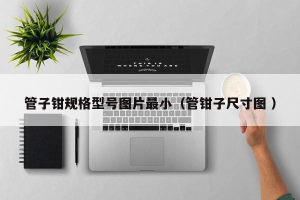 管子钳规格型号图片最小（管钳子尺寸图 ）