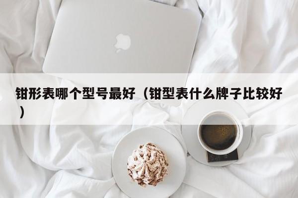 钳形表哪个型号最好（钳型表什么牌子比较好 ）