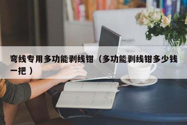 弯线专用多功能剥线钳（多功能剥线钳多少钱一把 ）
