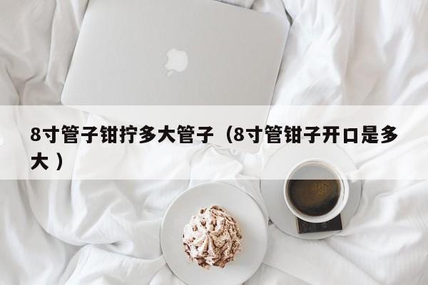 8寸管子钳拧多大管子（8寸管钳子开口是多大 ）