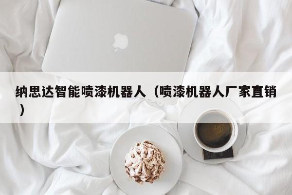 纳思达智能喷漆机器人（喷漆机器人厂家直销 ）