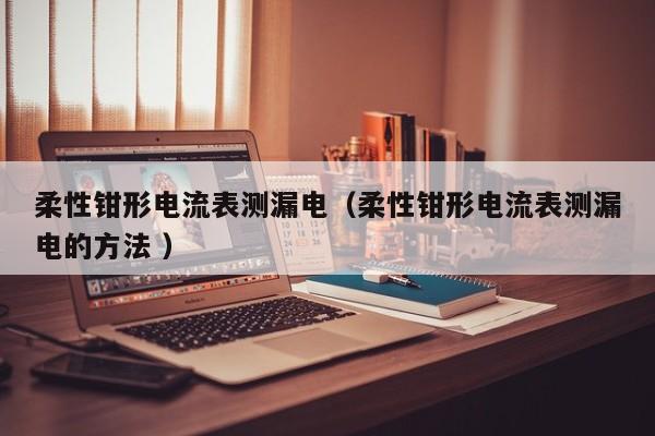 柔性钳形电流表测漏电（柔性钳形电流表测漏电的方法 ）