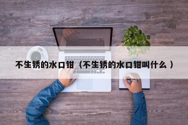 不生锈的水口钳（不生锈的水口钳叫什么 ）