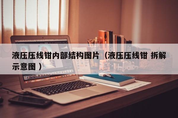 液压压线钳内部结构图片（液压压线钳 拆解示意图 ）