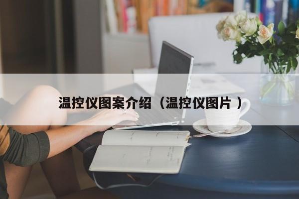 温控仪图案介绍（温控仪图片 ）