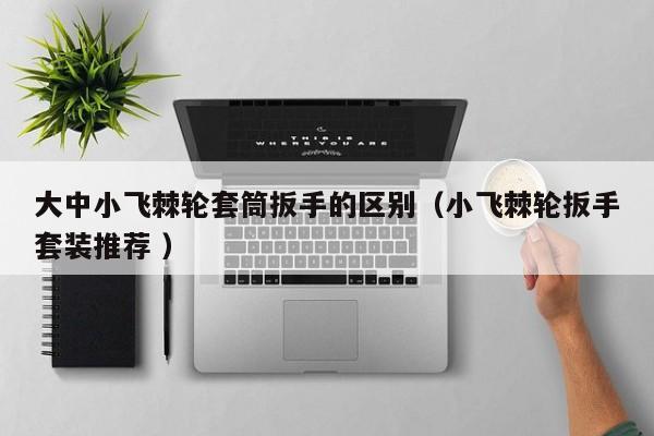 大中小飞棘轮套筒扳手的区别（小飞棘轮扳手套装推荐 ）