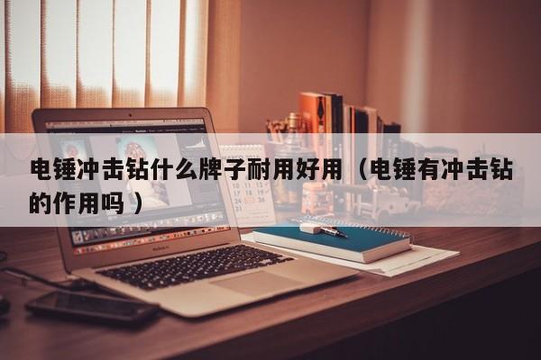 电锤冲击钻什么牌子耐用好用（电锤有冲击钻的作用吗 ）