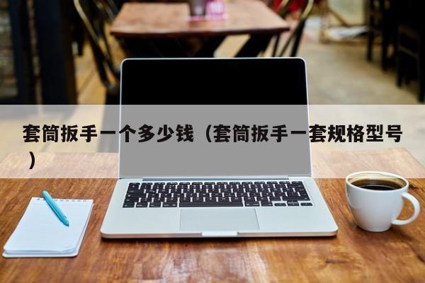 套筒扳手一个多少钱（套筒扳手一套规格型号 ）
