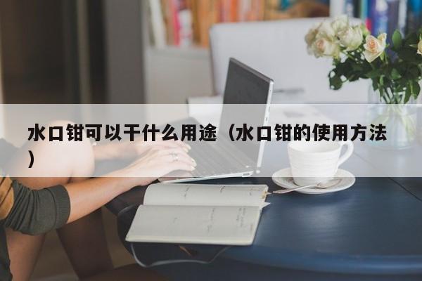 水口钳可以干什么用途（水口钳的使用方法 ）