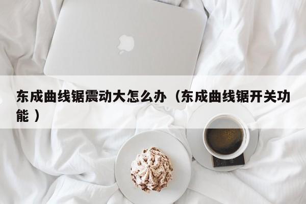 东成曲线锯震动大怎么办（东成曲线锯开关功能 ）