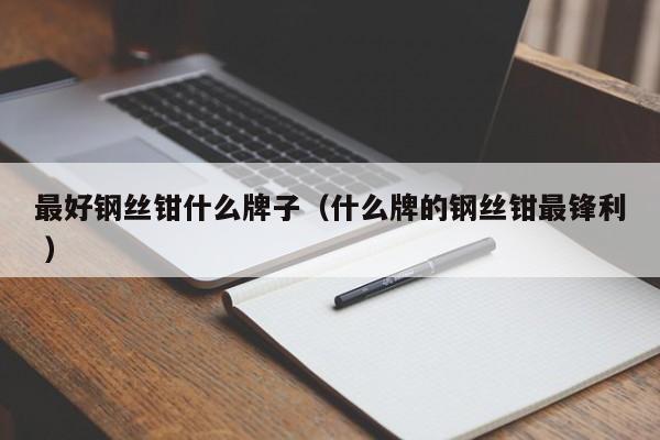 最好钢丝钳什么牌子（什么牌的钢丝钳最锋利 ）