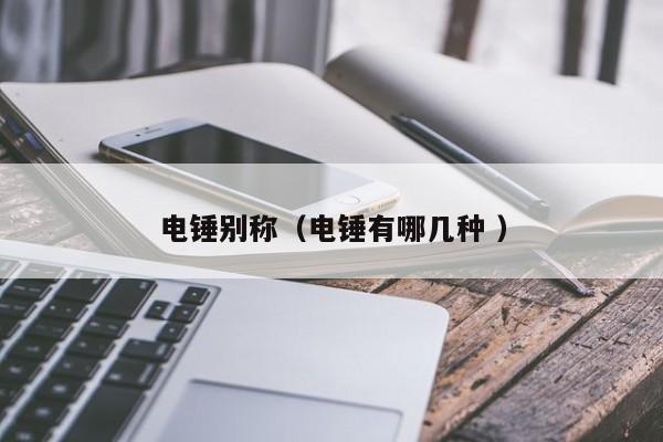 电锤别称（电锤有哪几种 ）