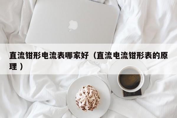 直流钳形电流表哪家好（直流电流钳形表的原理 ）