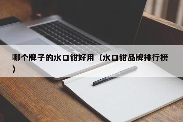 哪个牌子的水口钳好用（水口钳品牌排行榜 ）