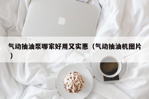 气动抽油泵哪家好用又实惠（气动抽油机图片 ）