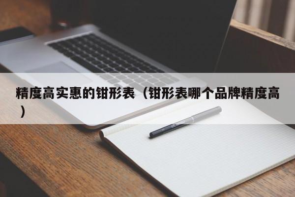 精度高实惠的钳形表（钳形表哪个品牌精度高 ）