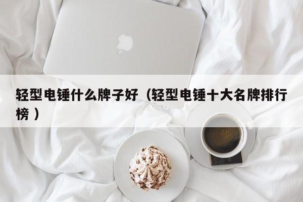 轻型电锤什么牌子好（轻型电锤十大名牌排行榜 ）
