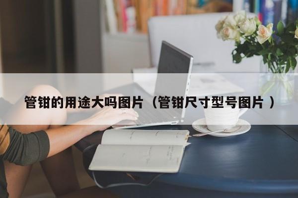 管钳的用途大吗图片（管钳尺寸型号图片 ）