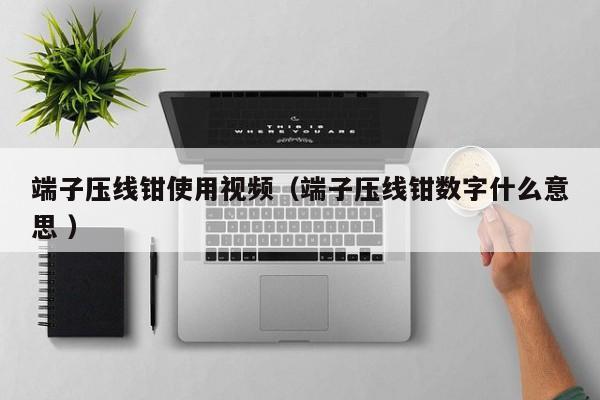 端子压线钳使用视频（端子压线钳数字什么意思 ）