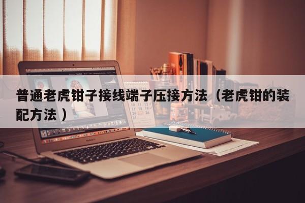 普通老虎钳子接线端子压接方法（老虎钳的装配方法 ）