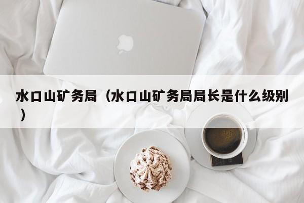 水口山矿务局（水口山矿务局局长是什么级别 ）