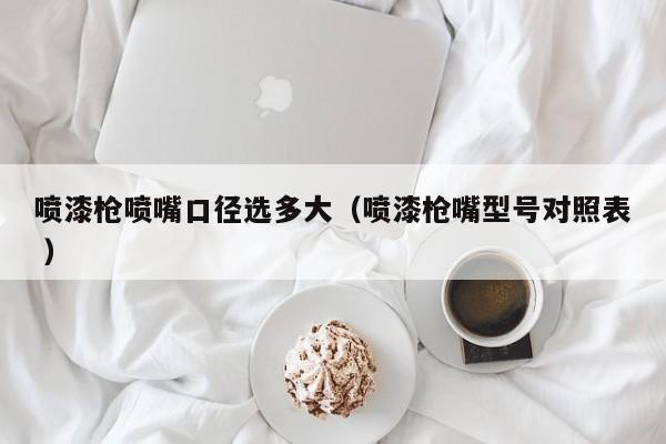 喷漆枪喷嘴口径选多大（喷漆枪嘴型号对照表 ）