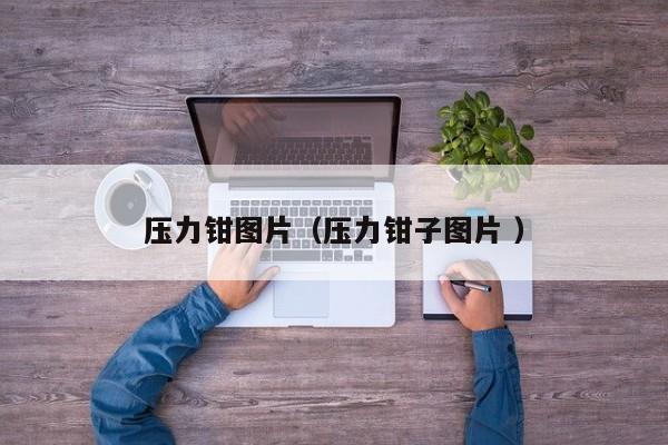 压力钳图片（压力钳子图片 ）
