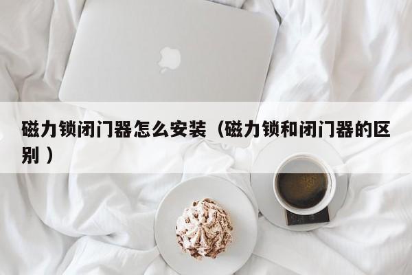 磁力锁闭门器怎么安装（磁力锁和闭门器的区别 ）
