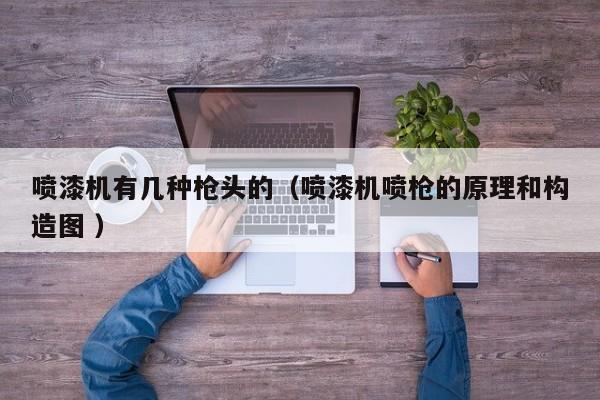 喷漆机有几种枪头的（喷漆机喷枪的原理和构造图 ）