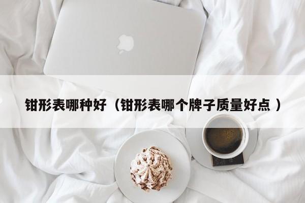 钳形表哪种好（钳形表哪个牌子质量好点 ）