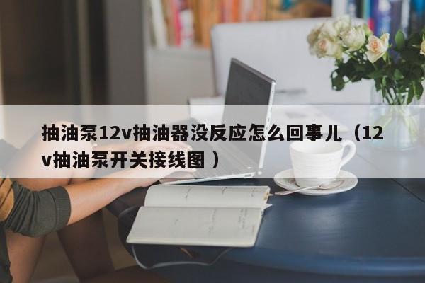 抽油泵12v抽油器没反应怎么回事儿（12v抽油泵开关接线图 ）