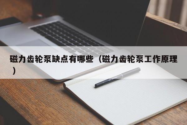 磁力齿轮泵缺点有哪些(磁力齿轮泵工作原理 )