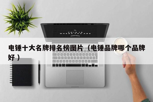 电锤十大名牌排名榜图片(电锤品牌哪个品牌好 )