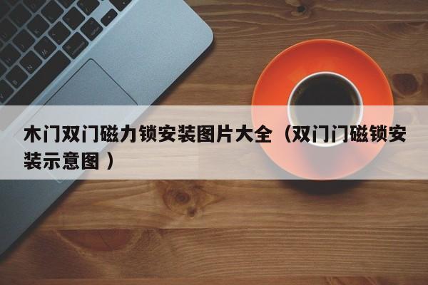 木门双门磁力锁安装图片大全（双门门磁锁安装示意图 ）