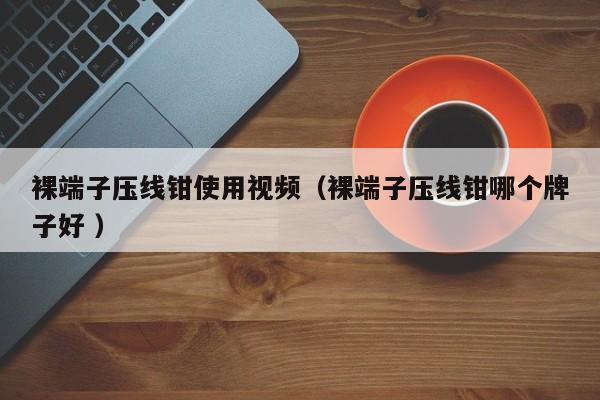 裸端子压线钳使用视频（裸端子压线钳哪个牌子好 ）