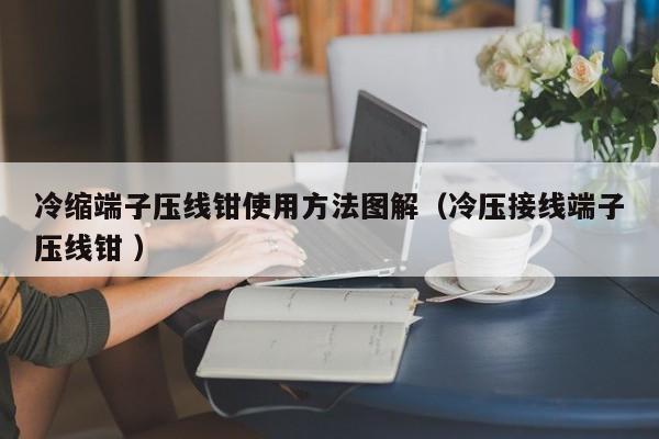冷缩端子压线钳使用方法图解（冷压接线端子压线钳 ）